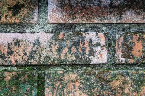 A brick wall with moss growing on it Stock Photos