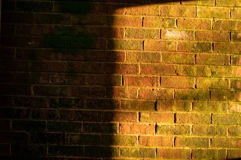 A Brick Wall With Moss Half Lit By an Orange Light Foto stock