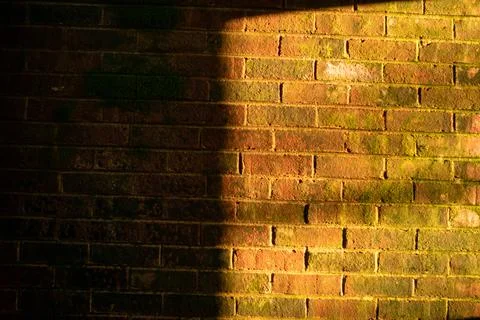 A Brick Wall With Moss Half Lit By an Orange Light Stock Photos