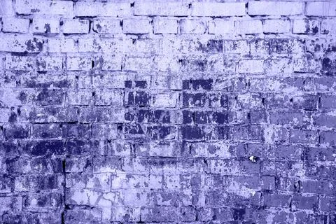 Brick wall painted with paint surface for background. Brick wall. Close-up. O Stock Photos