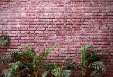 Brick wall with palms Stock Photos
