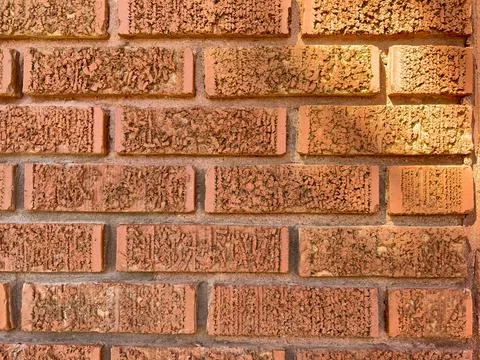 Brick wall pattern with shadows Photos
