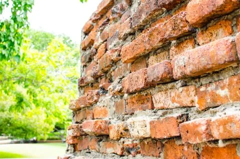 Brick wall perspective at park Stock Photos
