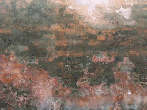 Brick wall Stock Photos