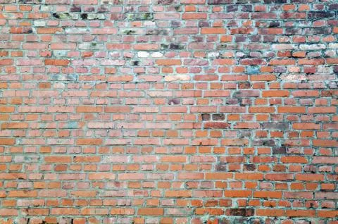 Brick wall Stock Photos