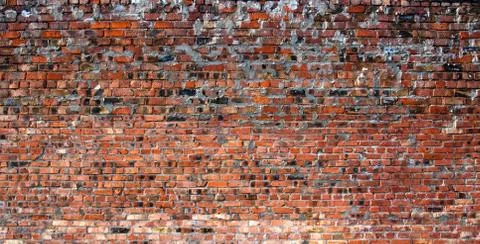 Brick wall 库存照片