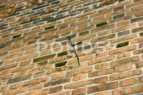 Brick wall Stock Photos
