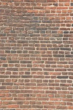 Brick wall 库存照片