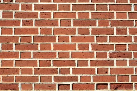 Brick wall 库存照片