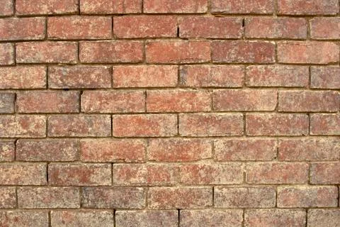 Brick wall Fotos Stock