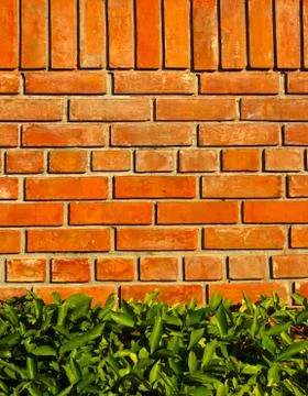 Brick wall Stock Photos