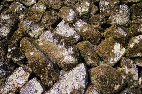 Brick wall Stock Photos