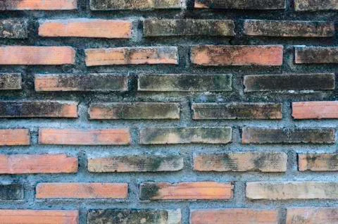 Brick wall Stock Photos