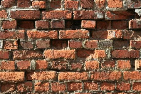 Brick wall 库存照片