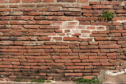 Brick wall Stock Photos