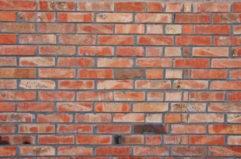 Brick wall 스톡 사진