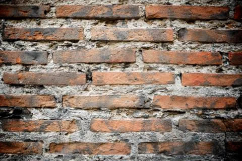 Brick wall Фото