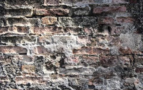 Brick wall Stock Photos