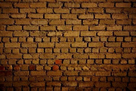 Brick wall 库存照片