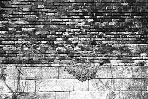 Brick wall Stock Photos