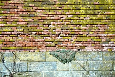 Brick wall Stock Photos