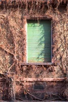 Brick wall Foto stock