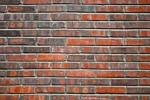 Brick wall. Stock Photos