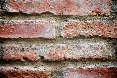 Brick wall Фото
