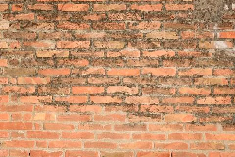 Brick wall Stock Photos