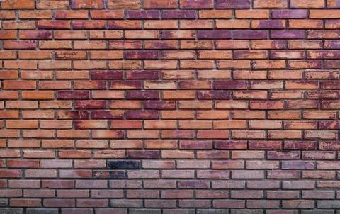 Brick wall. Stock Photos