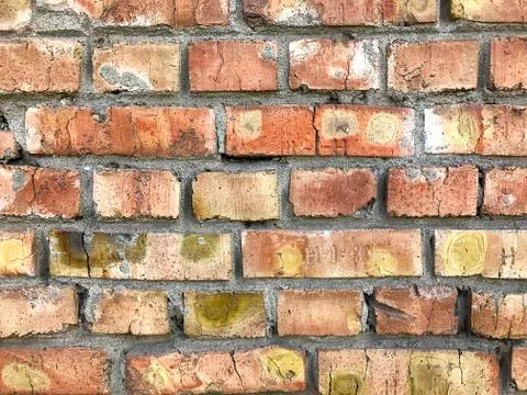 Brick wall. Stock Photos