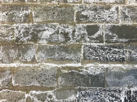Brick wall. Stock Photos