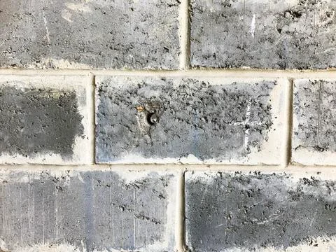 Brick wall. Stock Photos