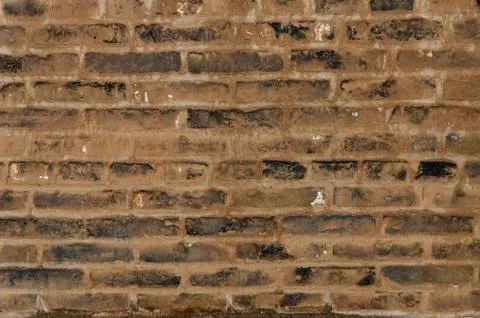 Brick wall Stock Photos