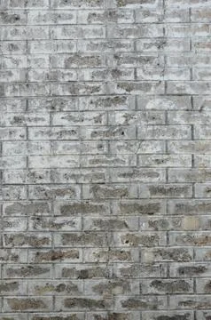 Brick wall 写真素材