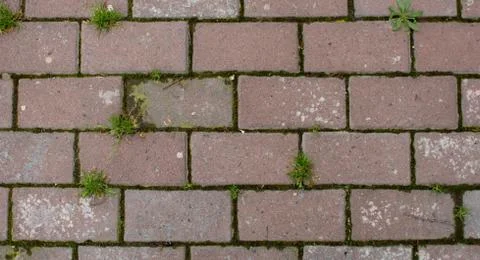 Brick wall Stock Photos