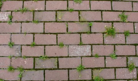Brick wall Stock Photos