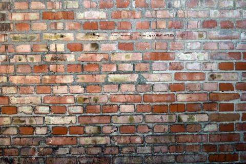 Brick wall Stock Photos