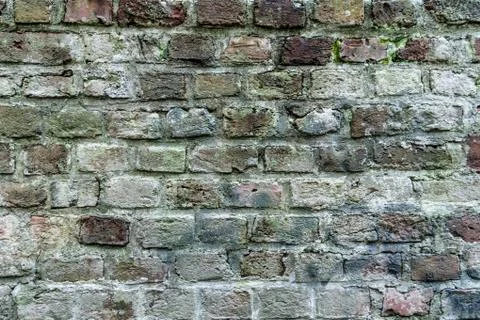 Brick wall Stockfoto's