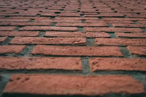 Brick wall 스톡 사진