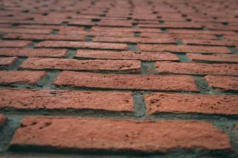 Brick Wall 스톡 사진