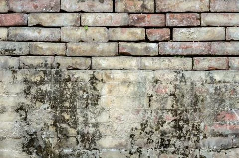 Brick wall Stock Photos