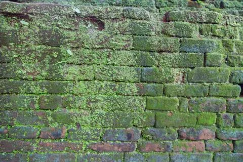 Brick wall Stock Photos