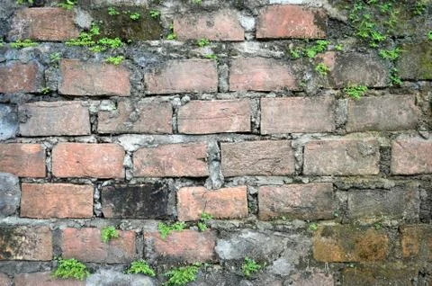 Brick wall Stock Photos