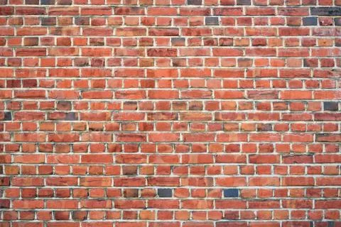Brick Wall Фото
