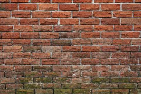 Brick wall Foto stock