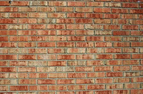 Brick Wall 스톡 사진