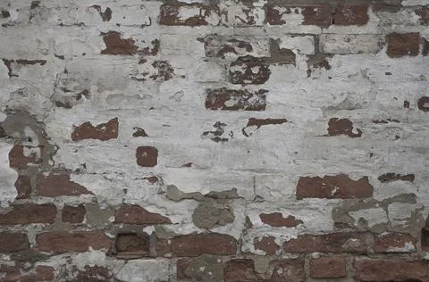 Brick wall. Stock Photos