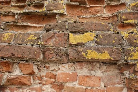 Brick wall Stock Photos