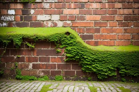 Brick wall Foto stock